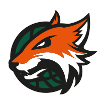 Plymouth Raiders